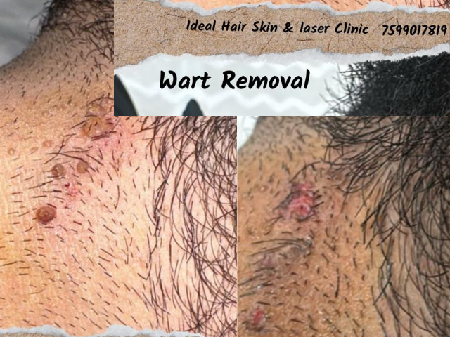 Expert Technical team